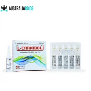 L-Carnitine 2000 mg per 5 ml liquid supplement bottle