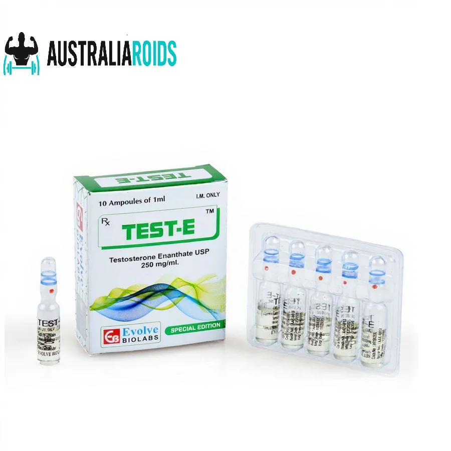Buy Test E (Testosterone Enanthate) injection vial with pharmaceutical packaging for medical testosterone therapy