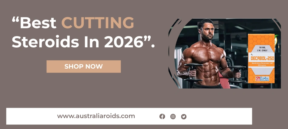 Best Steroids for Cutting in 2026 - Shop Now for Top Cutting Steroids Online